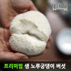 이츠올릿 프리미엄 국산 생 노루 궁뎅이 버섯 1kg 12개입 궁댕이 선물 세트