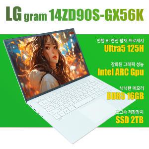 LG그램/14ZD90S-GX56K/NVMe SSD 2TB(교체)/WIN11설치