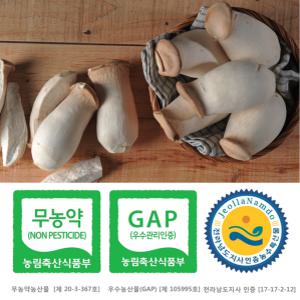 [산지] 친환경 무농약,GAP인증 새송이버섯 1kg(상)