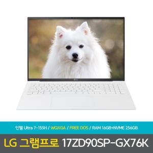 (오피스밸류팩등) 선물드림 바로출발 그램 프로 17ZD90SP-GX76K 램16GB+NVME 256GB 노트북 DD