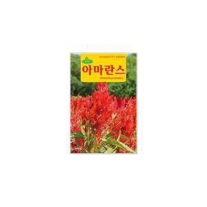 꽃씨 아마란스 3000립