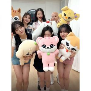 아이브 미니브 봉제인형 6종 대형 사이즈 40cm IVE Minive 굿즈