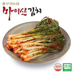 마이산김치 한국농협김치 전북 대표김치 마이산 파김치1kgx2팩(2kg) -인증