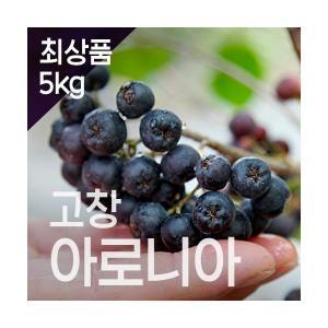 고창장수베리 [최상품]고창 아로니아 생과_5KG