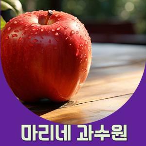 엔비사과정품 (10월15일이후 순차발송)envy사과 맛있는사과 예산사과 홍로사과 5kg 1