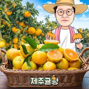 제주귤왕 효돈 농장 노지귤 가정용 프리미엄과(S) 3kg