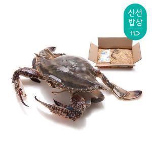 [품질보장] 더신선 태안 자연산 통통 활 꽃게 2kg 6-10미 /  톱밥꽃게 빙장꽃게 선택 가능