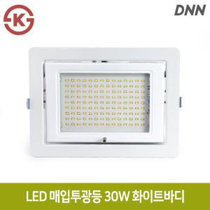 데이온 LED 매입투광기 30W 화이트바디