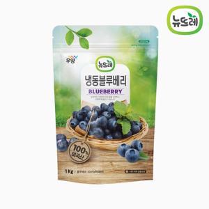 프리미엄 냉동 블루베리홀 미국산 무가당 1kg 3봉