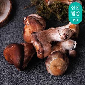 [품질보장] 나주 유주호님 못난이 참송이버섯 500g 1kg