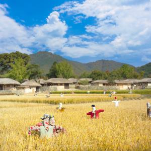 [충남] 아산 외암마을/현충사단풍/천안 태학산 치유의숲/아쿠아마사지+숲체험+티테라피