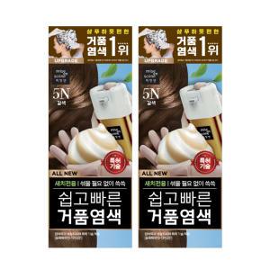 미쟝센 올뉴 쉽고빠른거품 염색약 5N갈색, 80g, 2개