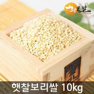 24년산 국내산 100% 햇찰보리쌀 4kg / 10kg