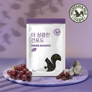 [산과들에] 건과일 건포도 1kg