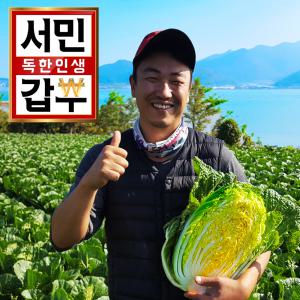 서민갑부 절임배추/해남특급/20kg/함초절임배추