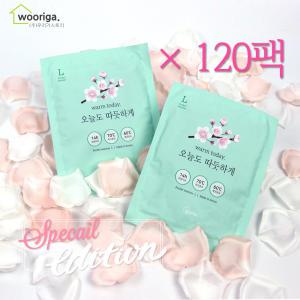 스페셜에디션 국내생산 핫팩 100g×120팩 포켓용 손난로