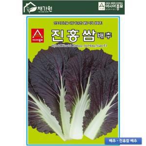 [대구백화점] [아시아종묘]배추씨앗-진홍쌈배추 500립