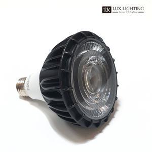 데이온 LED PAR30 30W COB 집중형 다이캐스팅 강화유리렌즈 고효율 고와트