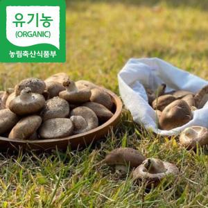 [해담은농장] 국산 유기농 생표고버섯1kg 건표고버섯100g