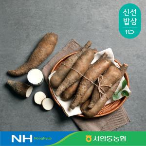 [서안동농협] 국산 산마 2kg 특품 상품 중품 알뜰