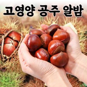 국내산 약단밤 공주밤 정안밤 생밤 군밤 알밤 대1kg