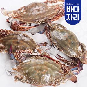 국산 제철 생물 햇꽃게 3kg (9~15미 내외)