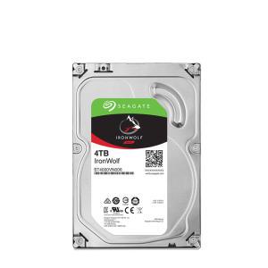 [카드 5% 추가할인] 씨게이트 Ironwolf 4TB ST4000VN006 HDD NAS용