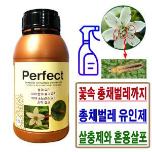 총채벌레유인제 퍼펙트 약 500ml 텃밭 화분 꽃속 싹 고추 참외 배추 총채벌레농약보조제 퇴치살충제보조제