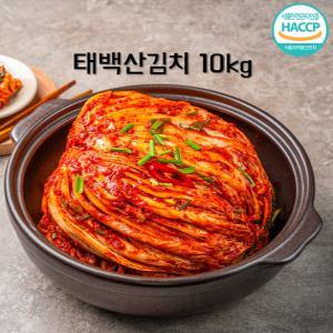 강원도 청정 태백산김치 10kg