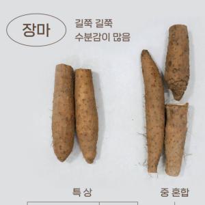 (안동마데이)  장마 중혼합.단특상 3kg