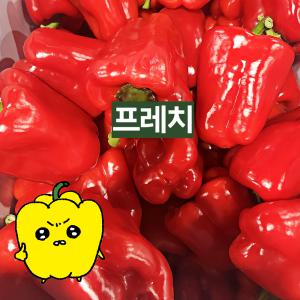 프레치 국내산 아삭하고 싱싱한 홍피망 1kg