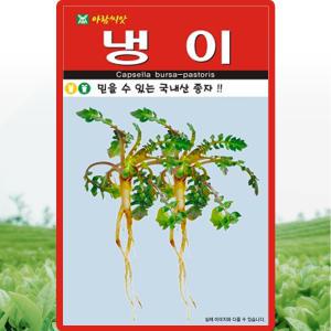 아람종묘 냉이 씨앗 2만립 국내산 냉이씨 산채 종자