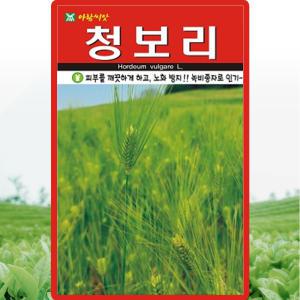 아람종묘 청보리 씨앗 20g 청맥 풋보리씨 녹비작물 종자