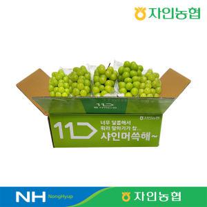 [경산자인농협] GAP인증 샤인머스켓 2kg 5수 실속형 저탄소인증