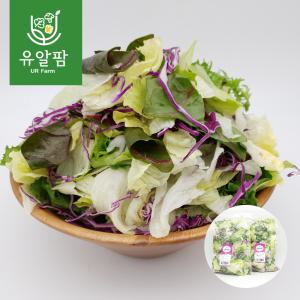 의령농산 유알팜 국내산 혼합 믹스 샐러드 1kg