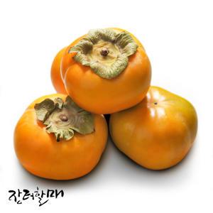 [장터할매]전라도 단감 10kg 5kg