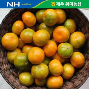 제주 위미농협 하우스감귤 고당도싱귤생귤3kg(30-40과)