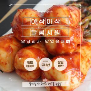 [갓고파푸드]  총각김치5kg,1개 #발송당일 생산 건강한 국내산 알타리사용