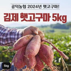 2024년 김제 햇 밤고구마 5kg(1박스)