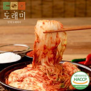 [도래미] 국내산 겉절이 2KG 외 BEST 9종