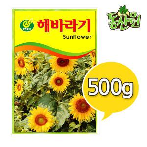 대용량 꽃씨 500g 1kg 해바라기씨앗 조경용 해바라기종자