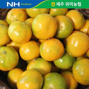 위미농협 하우스감귤 3kg(30-40과)/문주왕