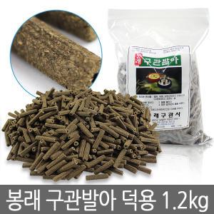 [구관판용 덕용] 봉래 구관발아 덕용 1.2kg