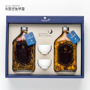 청년농부들 담금주키트 온마음담아 2종 선물세트 500ml x 2 양주병