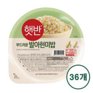 CJ제일제당 햇반 발아현미밥 210g 36개jh