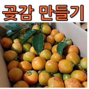 곶감용감 100개(11kg) + 곶감걸이 100개분 둥시감 곶감만들기