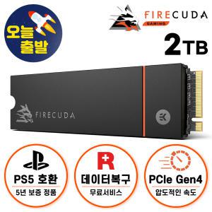 씨게이트 파이어쿠다 530 히트싱크 M.2 NVME SSD 2TB +신모델 파이어쿠다530R 히트싱크+