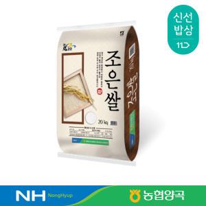 [농협양곡] 영암군농협 조은쌀 20kg / 상등급 / 2024년산 햅쌀