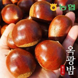 [농협] 달고 고소한 토종맛 옥광밤 로얄대 3kg (햇밤)