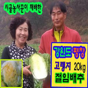 강원도 평창고랭지 절임배추 20kg/국내산 천일염사용/직접생산